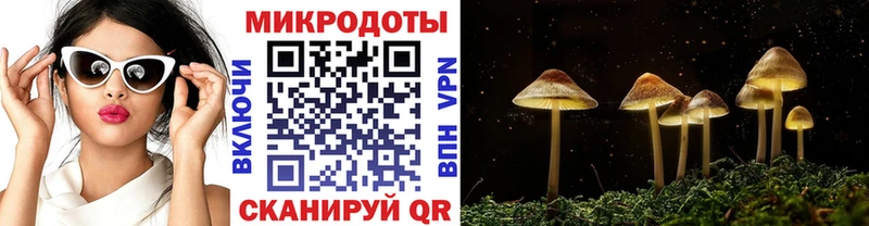 Псилоцибиновые грибы ЛСД  даркнет сайт  Заинск 