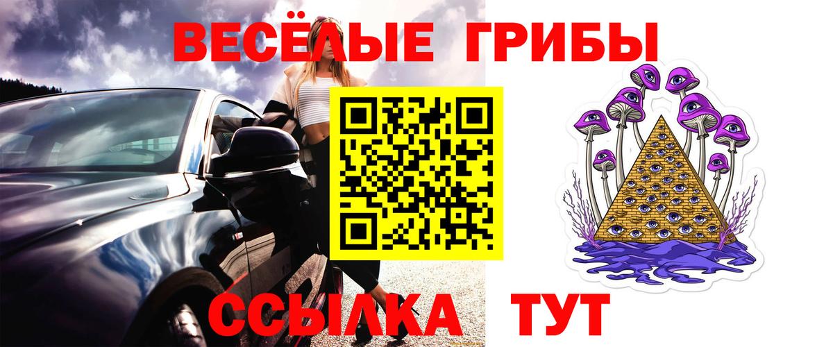 Галлюциногенные грибы прущие грибы Заинск